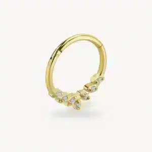 Piercing Anneau Segment Charnière Feuilles Zircons Doré Acier 316L 1,2 mm – La Réunion