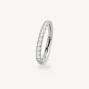 Anneau segment charnière zircons acier 316L