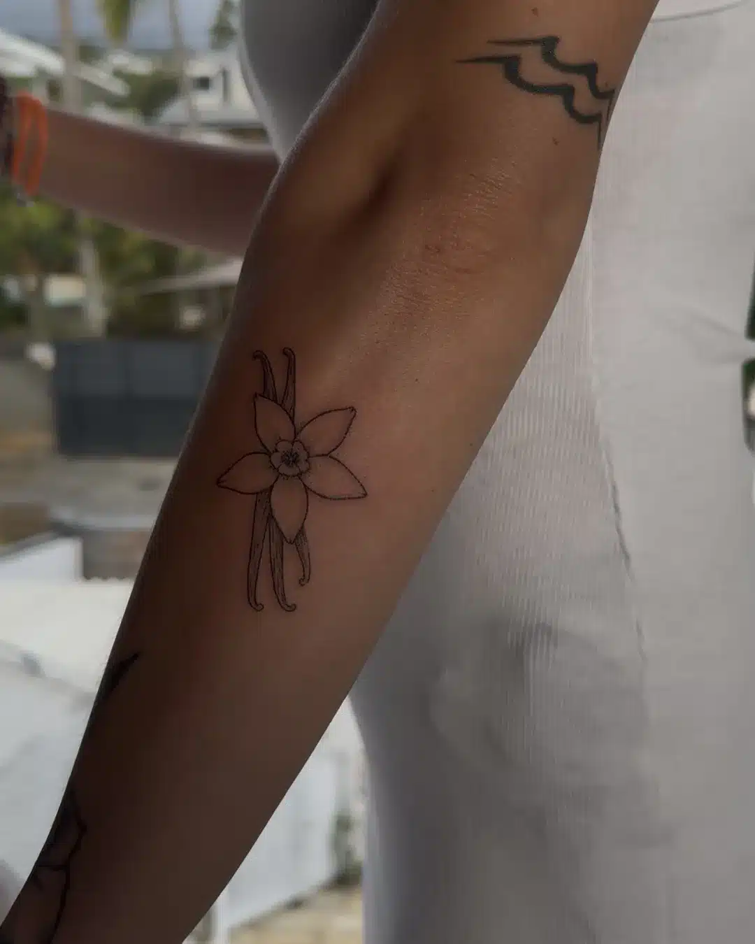 Tatouage fine line d'une fleur de vanille avec gousses sur l'avant-bras